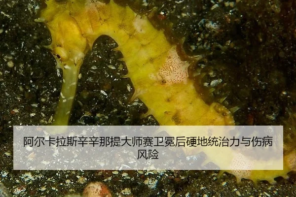 a-er-ka-la-si-xin-xin-na-ti-da-shi-sai-wei-mian-hou-ying-di-tong-zhi-li-yu-shang-bing-feng-xian-2-185.jpg