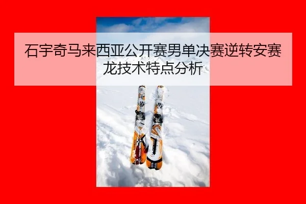 shi-yu-qi-ma-lai-xi-ya-gong-kai-sai-nan-dan-jue-sai-ni-zhuan-an-sai-long-ji-shu-te-dian-fen-xi-3-594.jpg